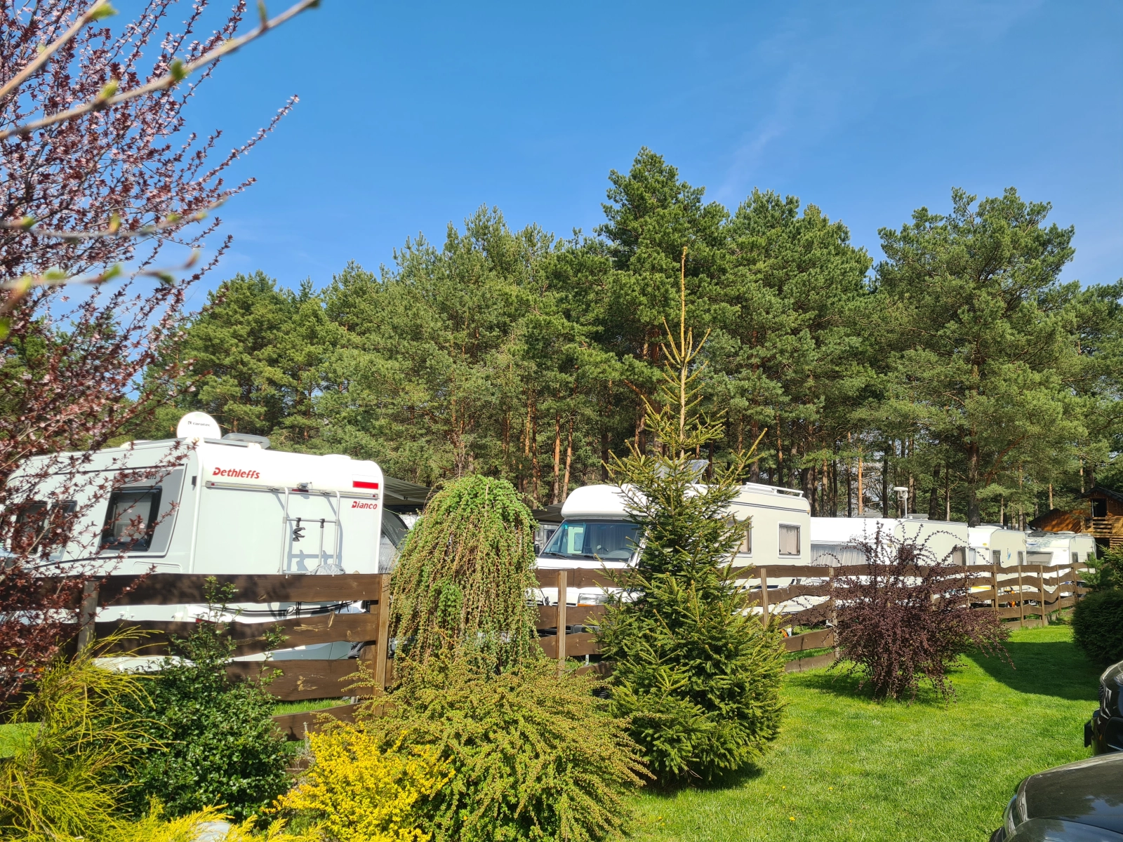 Camping nad Wartą